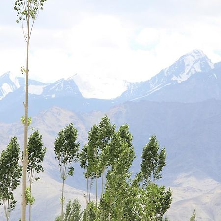 Hotel Kasdar Ladakh Leh Ngoại thất bức ảnh