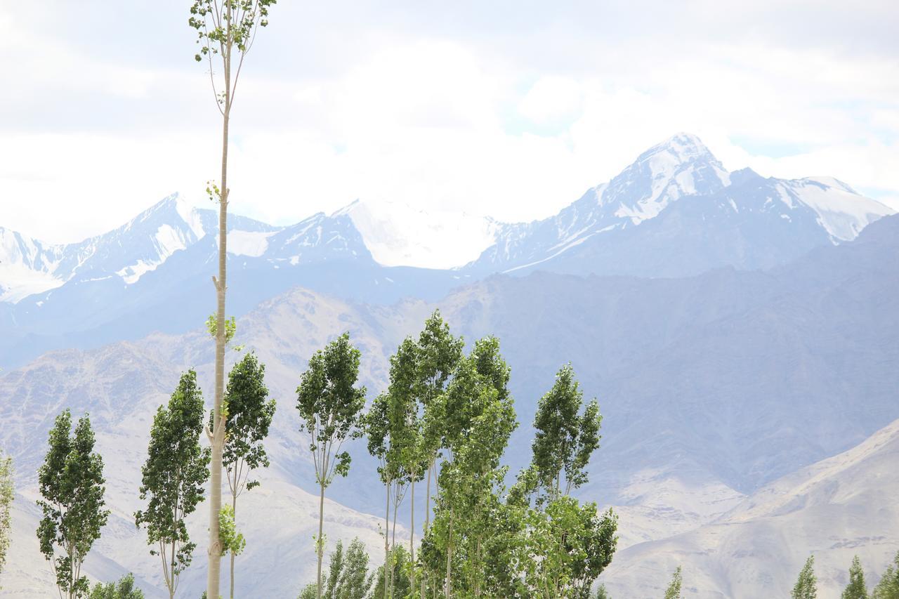 Hotel Kasdar Ladakh Leh Ngoại thất bức ảnh